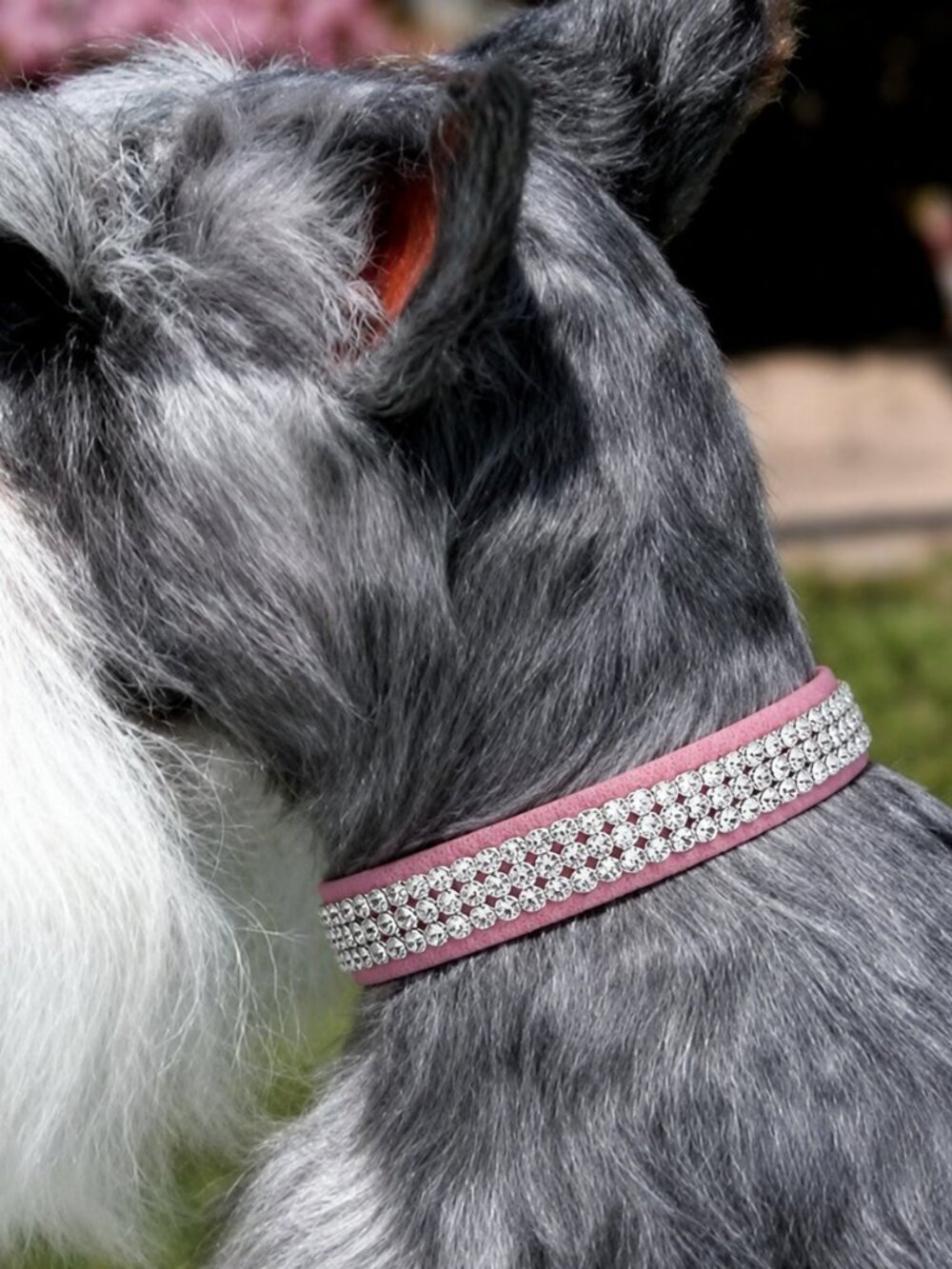 Perfect Pink 3-Row Swarovski Crystal 1/2" Dog Collar Size XS Giltmore